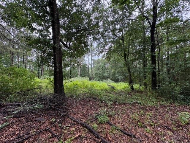 268 Cedar Valley Road, Coldspring, TX 77331