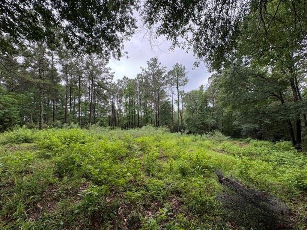 268 Cedar Valley Road, Coldspring, TX 77331