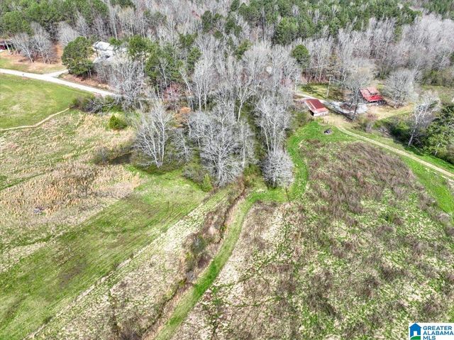 8230 COUNTY ROAD 222, Cullman, AL 35057