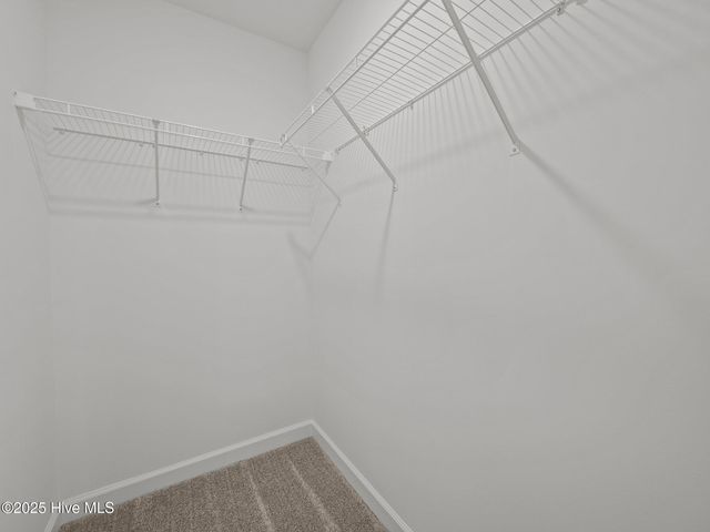 803 Tupelo Tree Drive, Hubert, NC 28539