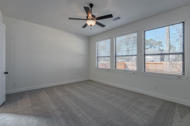 564 Tawny Rim Drive, Willis, TX 77318