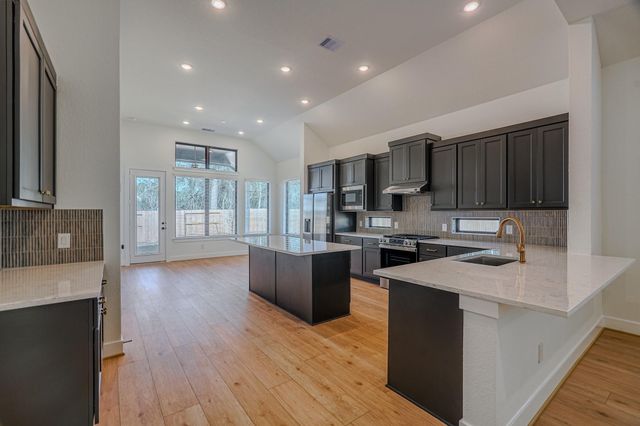 564 Tawny Rim Drive, Willis, TX 77318