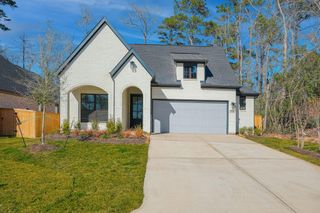 564 Tawny Rim Drive, Willis, TX 77318