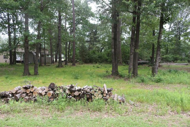 TBD Belize Drive, Point Blank, TX 77364