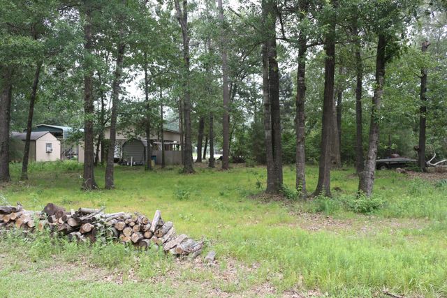 TBD Belize Drive, Point Blank, TX 77364