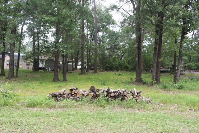 TBD Belize Drive, Point Blank, TX 77364