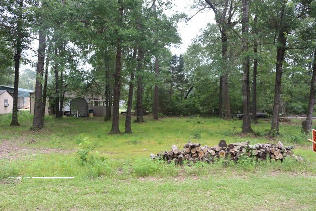 TBD Belize Drive, Point Blank, TX 77364