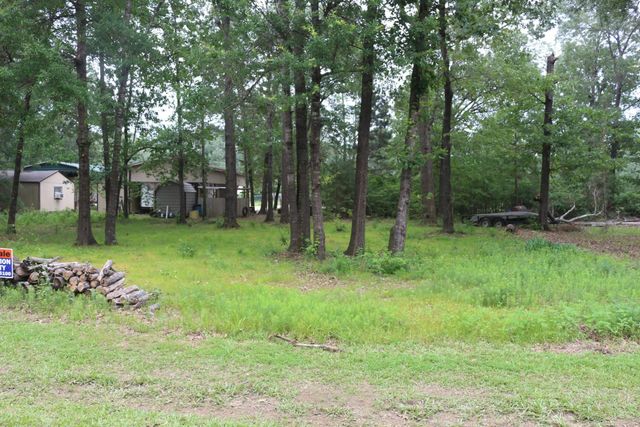 TBD Belize Drive, Point Blank, TX 77364
