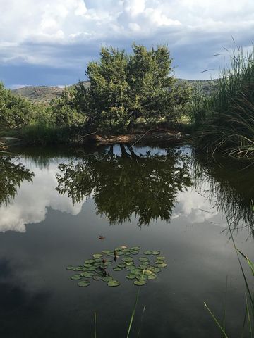 59 Wagon Rd, Alpine, TX 79830