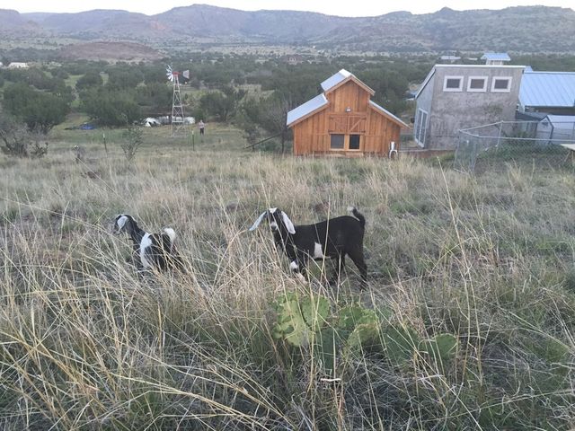 59 Wagon Rd, Alpine, TX 79830