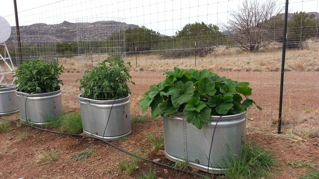 59 Wagon Rd, Alpine, TX 79830