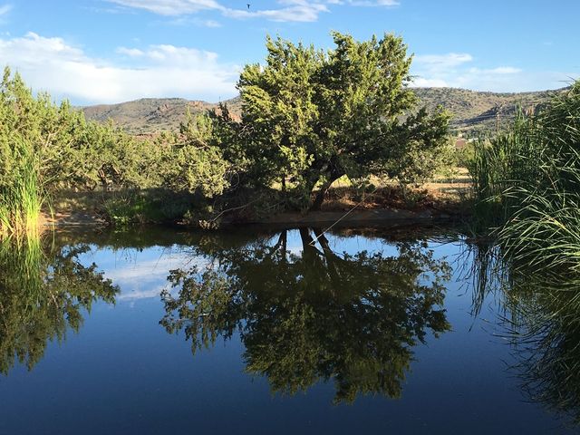 59 Wagon Rd, Alpine, TX 79830