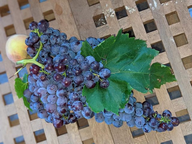 59 Wagon Rd, Alpine, TX 79830