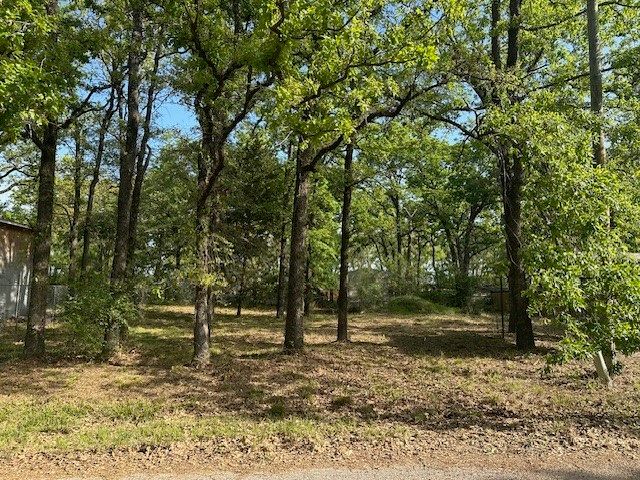 116 Red Bird Lane, Mabank, TX 75156