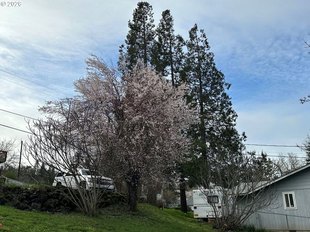 1387 Nw GROVE St, Roseburg, OR 97471