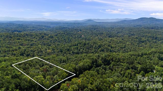 619 High Trail Drive, Nebo, NC 28761