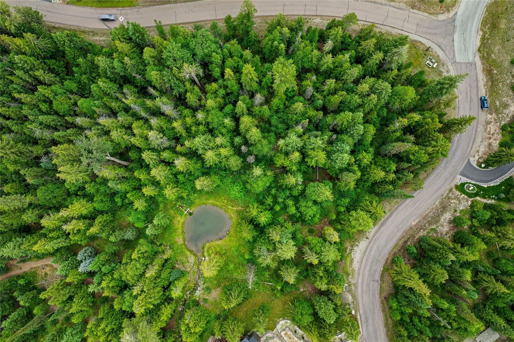 90 Woodland Star Circle, Whitefish, MT 59937 photo 10