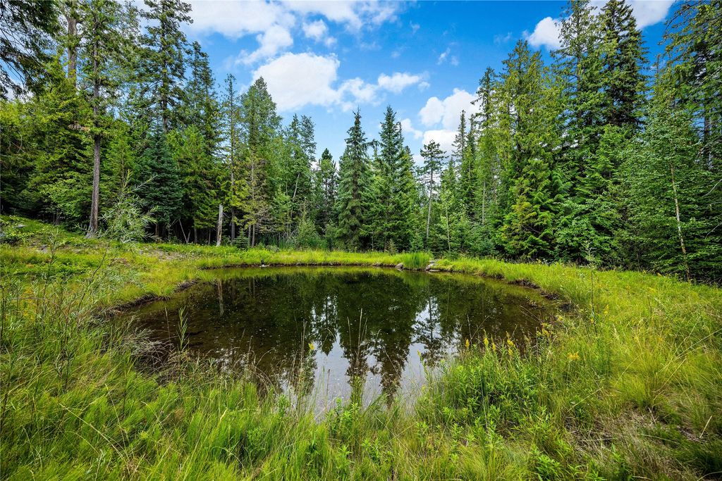 90 Woodland Star Circle, Whitefish, MT 59937 photo 13