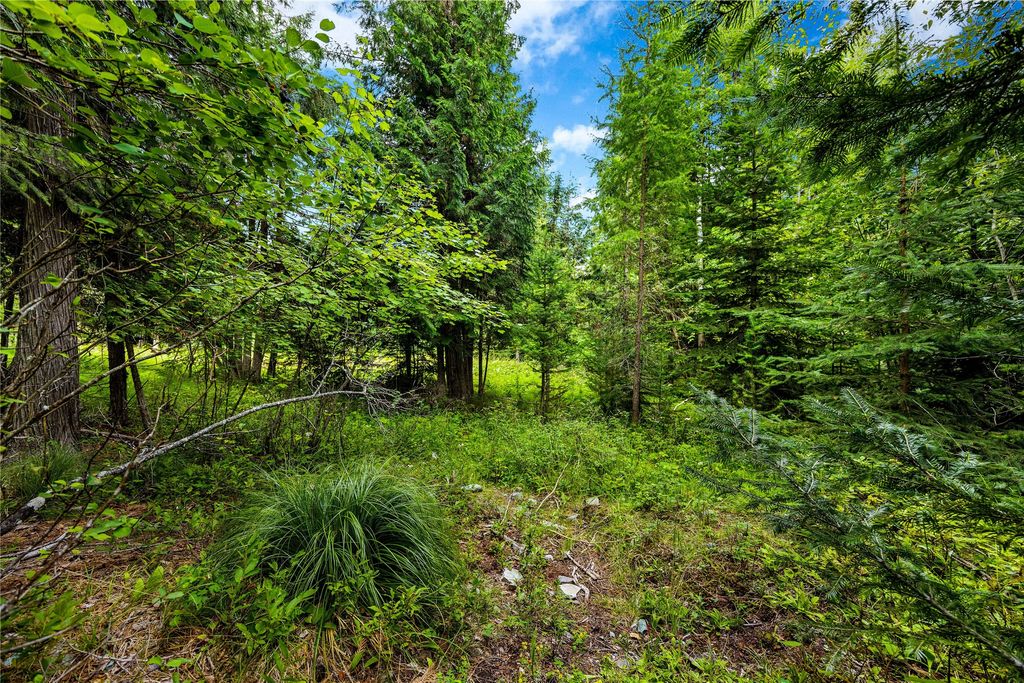 90 Woodland Star Circle, Whitefish, MT 59937 photo 14