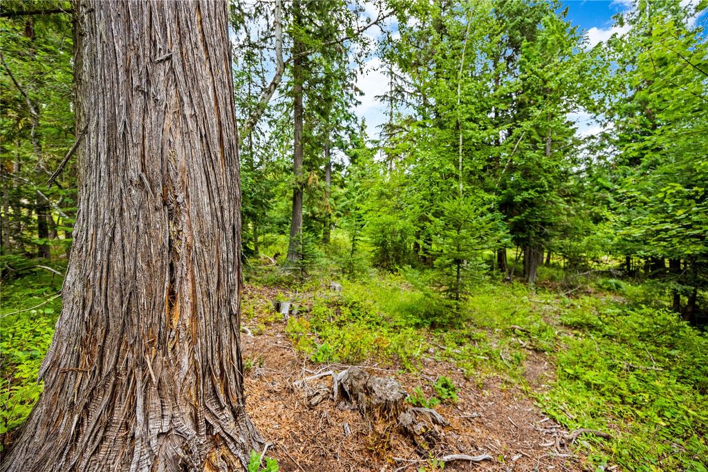 90 Woodland Star Circle, Whitefish, MT 59937 photo 15