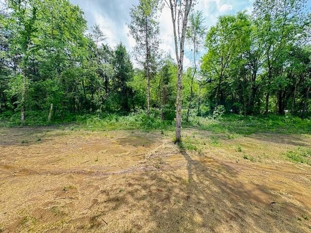 736 Old Cemetery Road, Madisonville, TN 37354