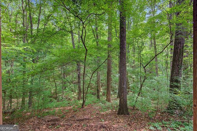 251 Paces Lakes Drive, Dallas, GA 30157