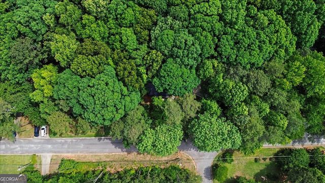 251 Paces Lakes Drive, Dallas, GA 30157