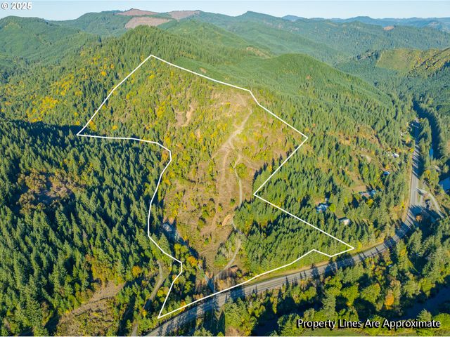 20191 HIGHWAY 42, Myrtle Point, OR 97458