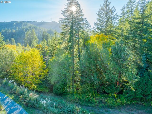 20191 HIGHWAY 42, Myrtle Point, OR 97458