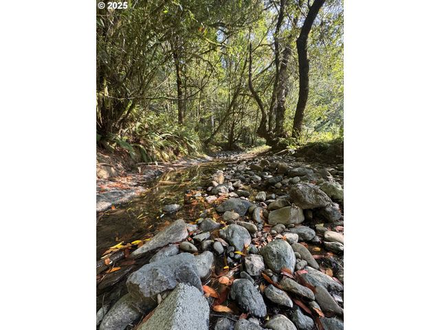 20191 HIGHWAY 42, Myrtle Point, OR 97458