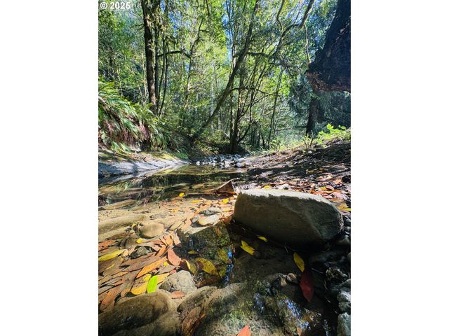 20191 HIGHWAY 42, Myrtle Point, OR 97458