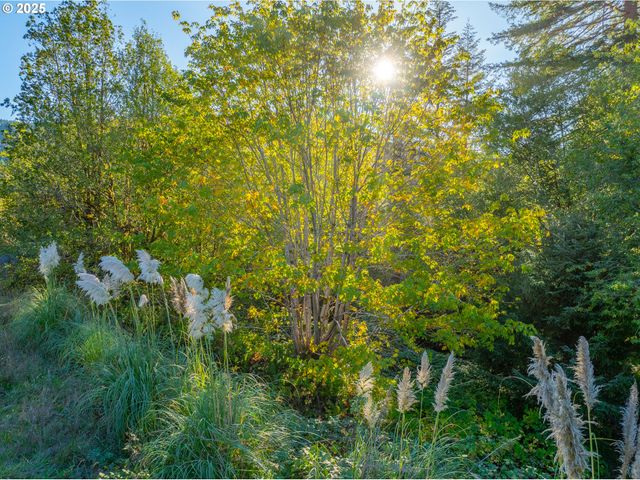 20191 HIGHWAY 42, Myrtle Point, OR 97458