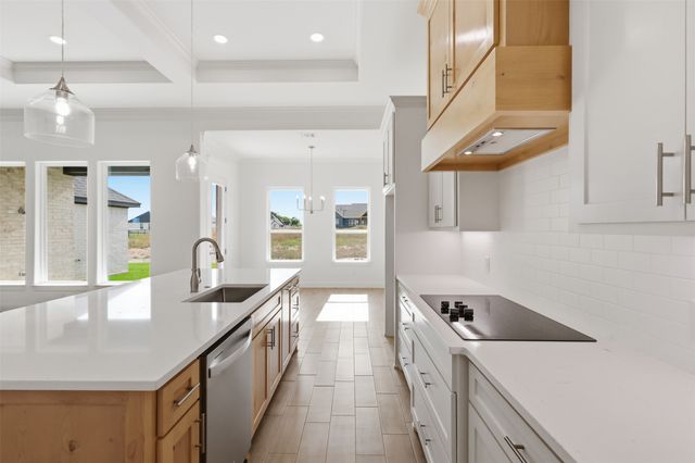 1041 Arbor Vista Drive, Azle, TX 76020