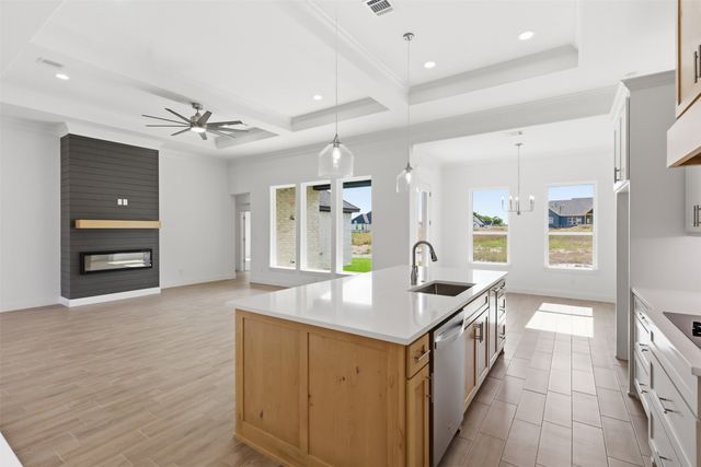 1041 Arbor Vista Drive, Azle, TX 76020