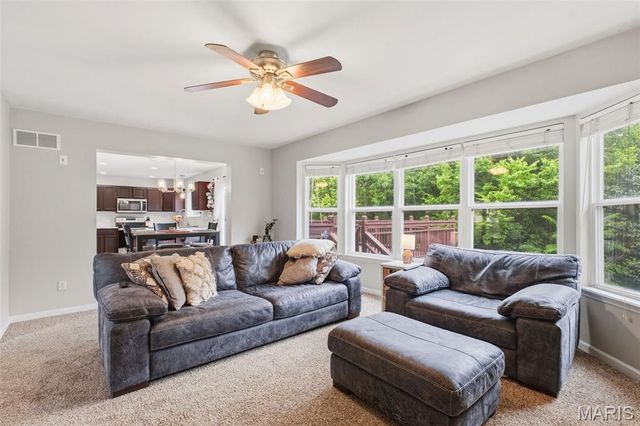 40 Owls Rest Court, Winfield, MO 63389