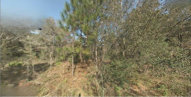 SW 22ND STREET, Ocala, FL 34481