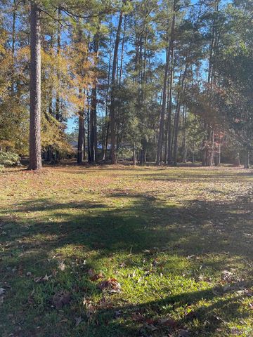 31387 River Pines Dr, Springfield, LA 70462