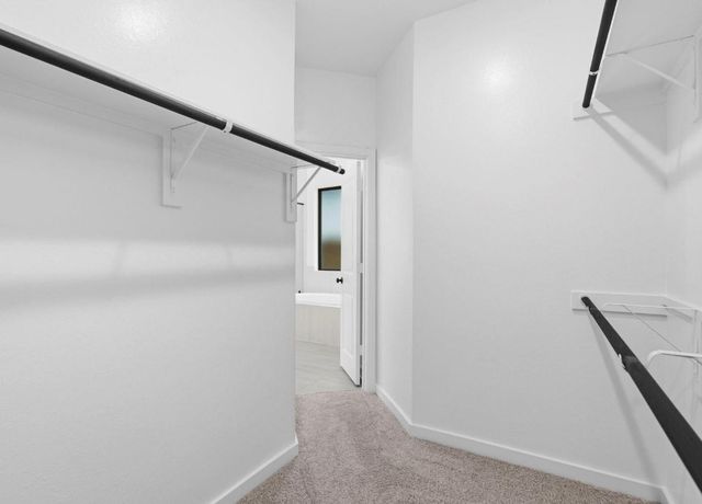 10919 Spring Wind Drive, Missouri City, TX 77459