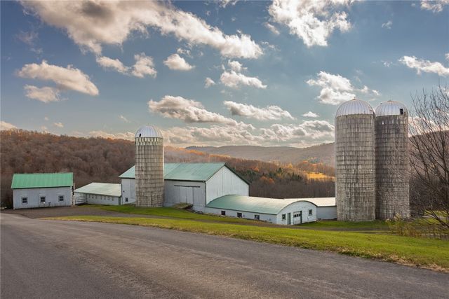 1625 Carey Rd., Franklin, NY 13775