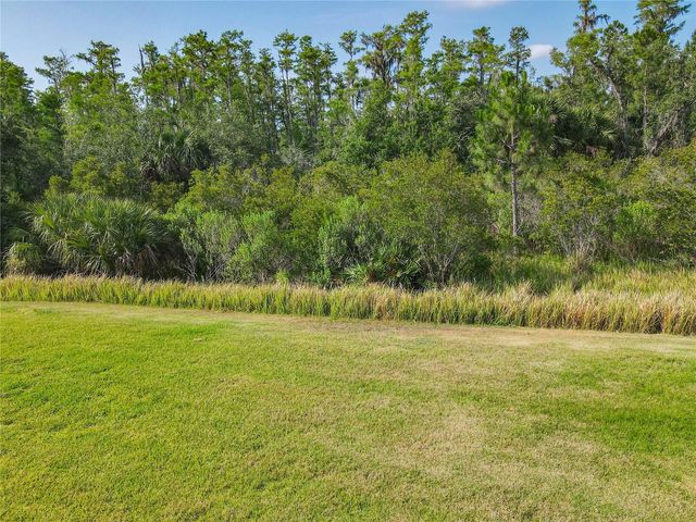 819 SAN RAPHAEL STREET, Kissimmee, FL 34759