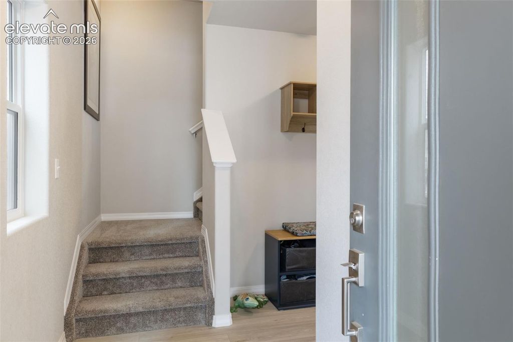 7866 Piton Point, Colorado Springs, CO 80923 — photo 3