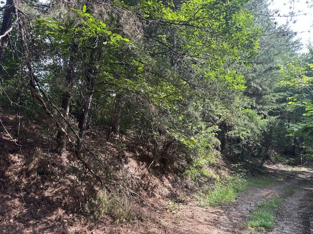 111 County Rd 805, Etowah, TN 37331