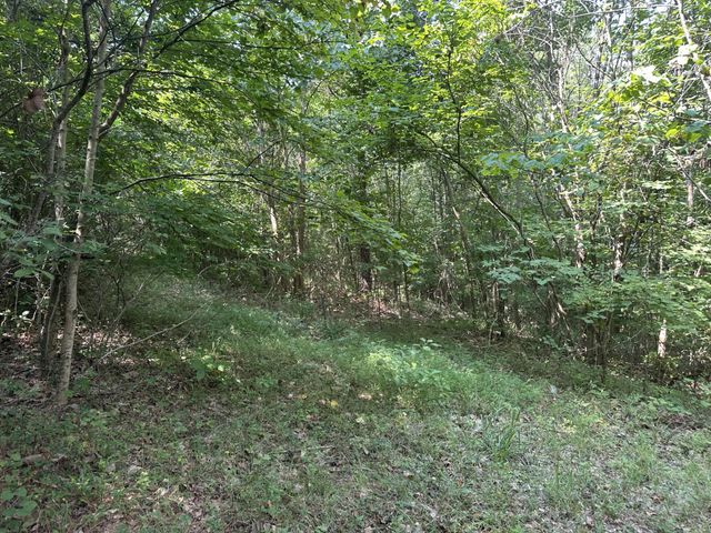 111 County Rd 805, Etowah, TN 37331