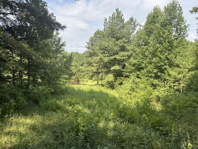 111 County Rd 805, Etowah, TN 37331