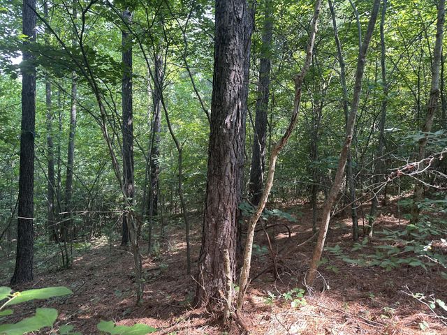 111 County Rd 805, Etowah, TN 37331
