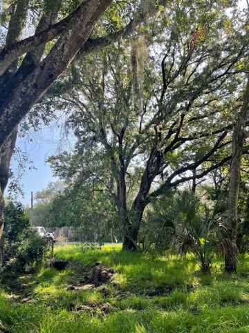 Madrid St Lot 1, St Augustine Beach, FL 32080