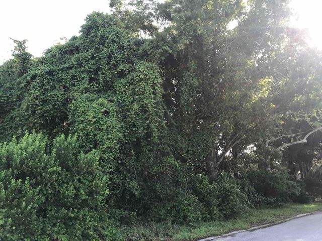 Madrid St Lot 1, St Augustine Beach, FL 32080