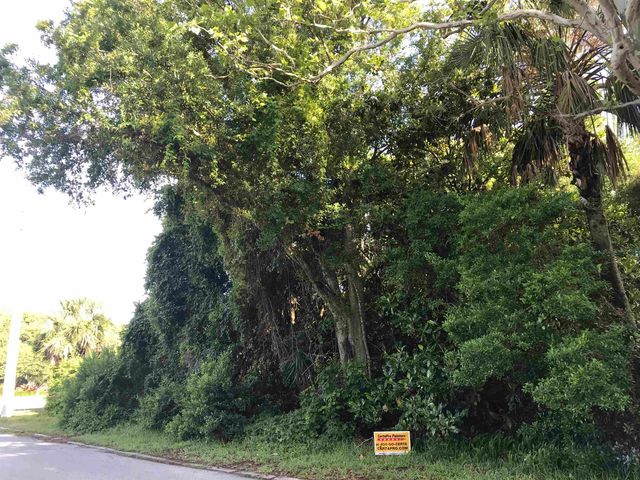 Madrid St Lot 1, St Augustine Beach, FL 32080