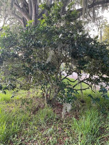 Madrid St Lot 1, St Augustine Beach, FL 32080