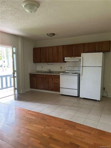 3396 Rt-42, Monticello, NY 12701